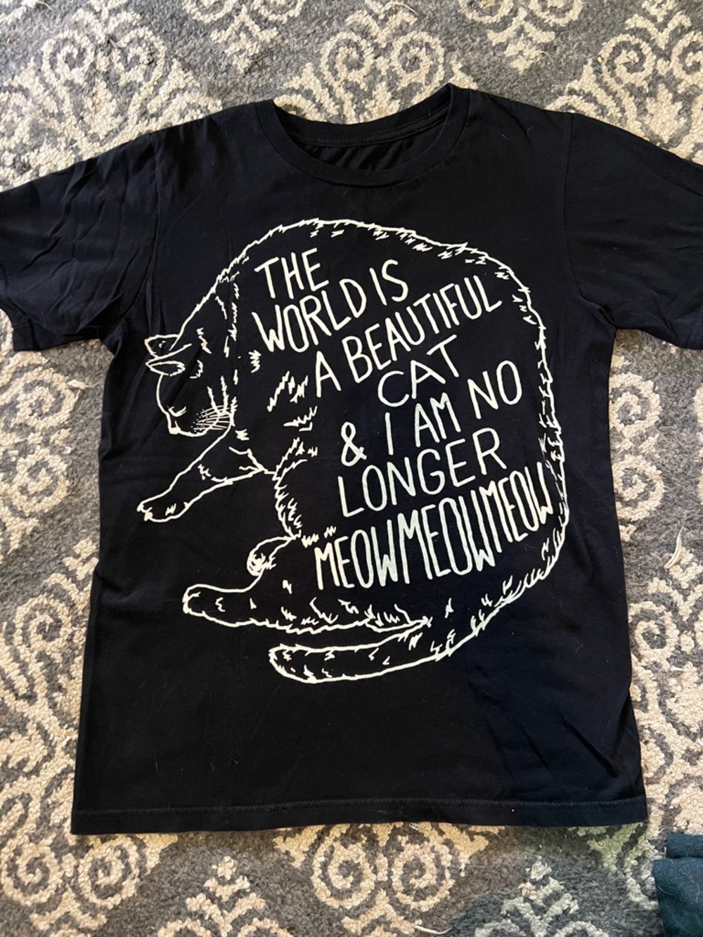 The World is a Beautiful Place Cat T-Shirt